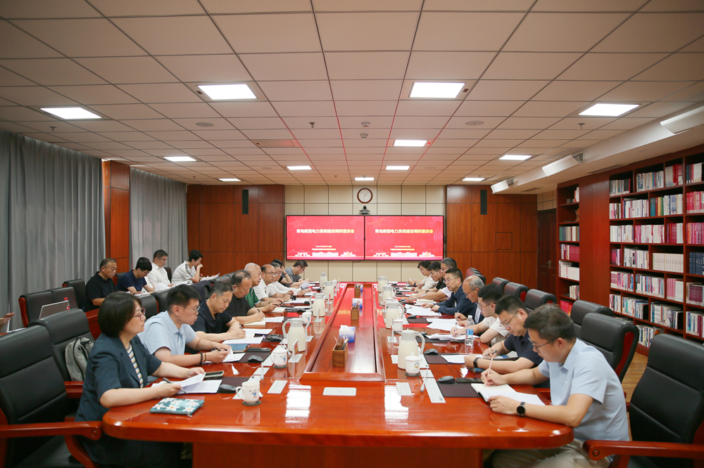 青岛新型电力系统建设调研座谈会在青科大举行